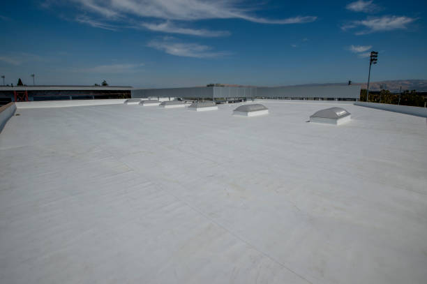 Best Commercial Roofing Services  in Louisa, KY