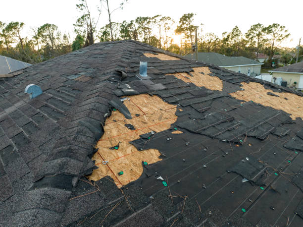 Professional Roofing service in Louisa, KY